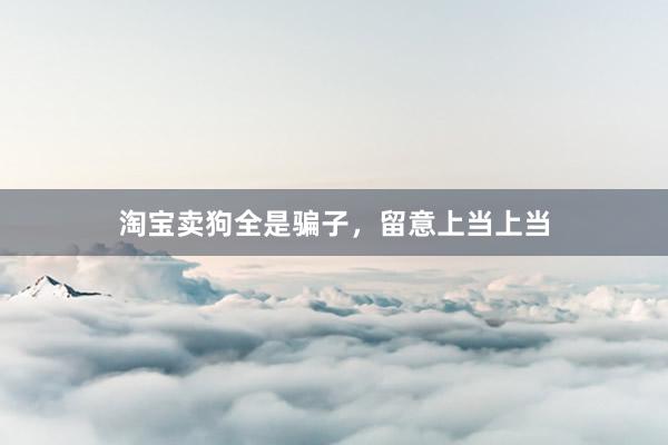 淘宝卖狗全是骗子，留意上当上当